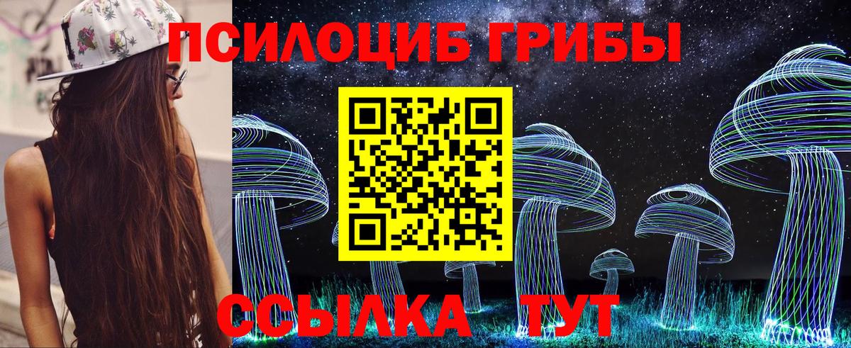 Галлюциногенные грибы Psilocybine cubensis Салехард